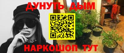 гидропоника Кингисепп