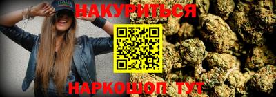 гидропоника Кингисепп